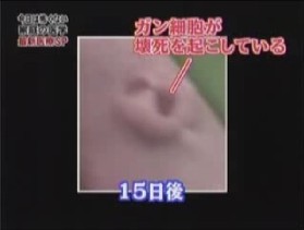 15日後の様子