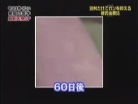 60日後の様子