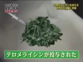 テロメライシンを投与